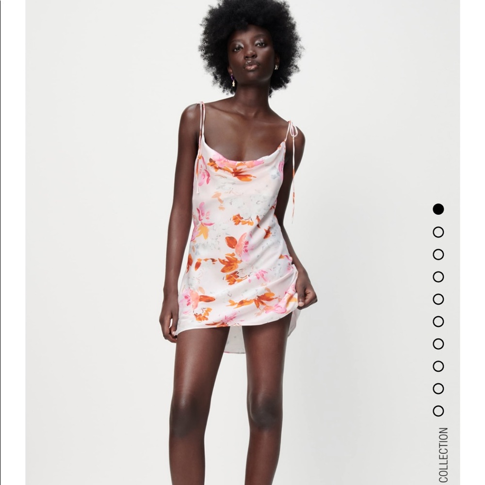 NWT Zara floral print dress